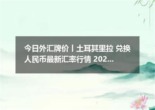 今日外汇牌价丨土耳其里拉 兑换人民币最新汇率行情 2026年04月13日